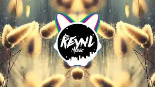 Blackpink - Du Du Du (Remix) (TikTok)