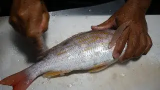 Catch And Cook Back Country Lane Snapper