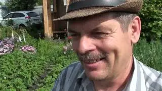 В Орел на дачу на три дня