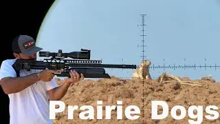 Prairie Dog Hunting With Airguns | We Smoked Em