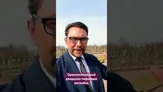 Прогулка в Ораниенбауме