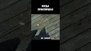 ПРОНИКНОВЕНИЕ  / контент с канала  