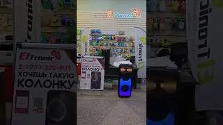 в Южно-сахалинск для Алексея едет мощная колонка с аккумулятором и караоке ELTRONIC 20-56 FIRE BOX