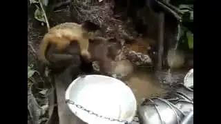 Вот какой должна быть женщина )))