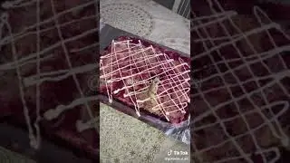 Салат для нового года (рулет)