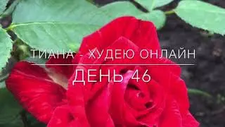 День 46, Люблю КУХАРИТЬ и люблю КУЛИНАРНЫЕ КАНАЛЫ