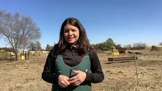Colostrum 101