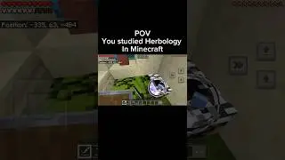 💀// #minecraft #memes #wtf