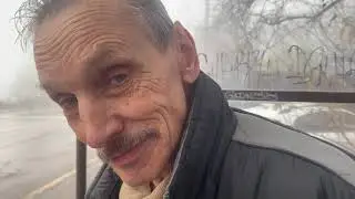 Итальянская пиния на въезде в Ялту