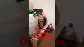 Перелил вино из бочки в бутыля