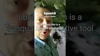 squatch abducts children