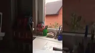 Изменения сохранены 😂 #мем #приколы