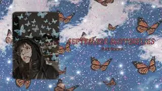 ꧁༒𝕊𝔼ℙ𝕋𝔼𝕄𝔹𝔼ℝ 𝔹𝕌𝕋𝕋𝔼ℝ𝔽𝕃𝕀𝔼𝕊༒꧂ ʚĭɞ