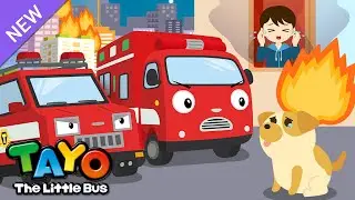 The Fire Rescue Team | RESCUE TAYO | Tayo Rescue Team Song | Rescue Truck | Tayo the Little Bus