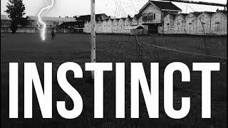 INSTINCT
