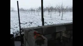 мартовская стройка !
