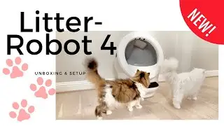 Unbox my new Litter-Robot 4