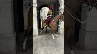 SCARED HORSE COLLAPSES Throwing Kings Guard Forward!  #horseguardsparade #kingsguard #royalguards