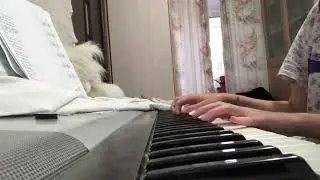Rauf & Faik , NILETTO - если тебе будет грустно piano cover