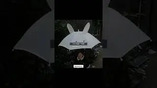 ✨️✨️ #explorepage #fypシ゚viral #trending