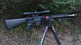 Best Deer Hunting AR15 Calibers!