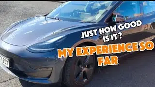 Is The Tesla Model 3 Worth it in 2025?