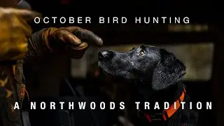 October Bird Hunting, A Northwoods Tradition | Bird Hunting & Walleye Fishing | Fishcamp Creative