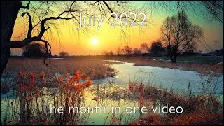 80 minutes of epic background relaxation music - July 2022 - Mind Drifter