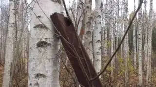 Тонна рельс.Много,много брошенных рельс! Часть-1