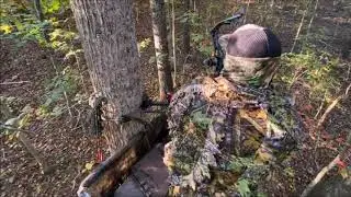 Mid Season | Filling The Freezer | Self Filmed Bow Hunt