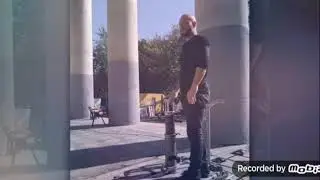 пес 6 сезон