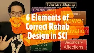 6 Elements before Treating SCI patients !