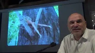 Андрей Великанов. Начало 31-ой лекции курса 2015-16.