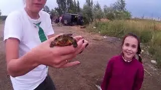 Свободу черепахам! Спасение черепашки Молли
