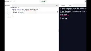 Java Programming Skills Using Replit: System.exit()