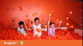 360 photo booth mini - Tangerine
