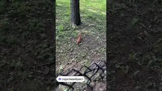 Отдых в родном городе Брест