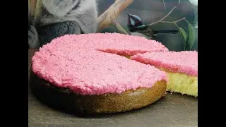 coconut ice cake | cake recipe | Aussie girl can cook