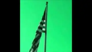 American Freedom?