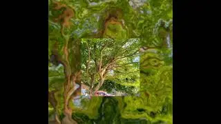 find me