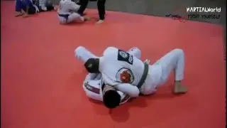Maxbjj on the Road  - Luca Anacoreta