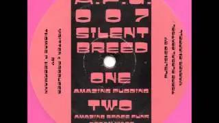 Silent Breed - Amazing Space Funk