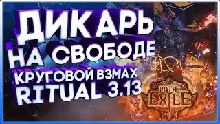 Мясо  PoE Path Of Exile 3.13 RItual Стрим ПоЕ  Вождь Дикарь Круговой взмах