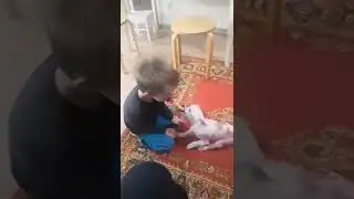 Плюша VS Парень
