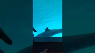 Minnesota zoo