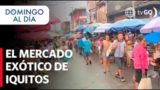 Get to know the Belen market and the Paquito passage in Iquitos | Domingo al Dia
