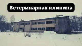 Ветеринарная клиника