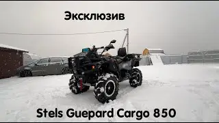 🔥🔥🔥 Stels Guepard 2.0 Cargo 850 в эксклюзивном цвете в полном тюнинге. Единственный в России 🔥🔥🔥
