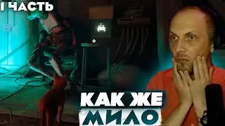 ЗУБАРЕВ ПРОХОДИТ STRAY | ПРОХОЖДЕНИЕ STRAY | ЧАСТЬ 1