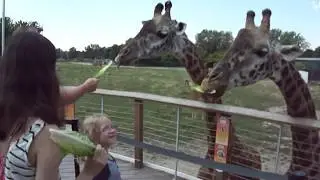 Toledo Zoo